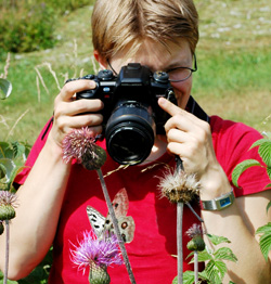 Insektfotografering